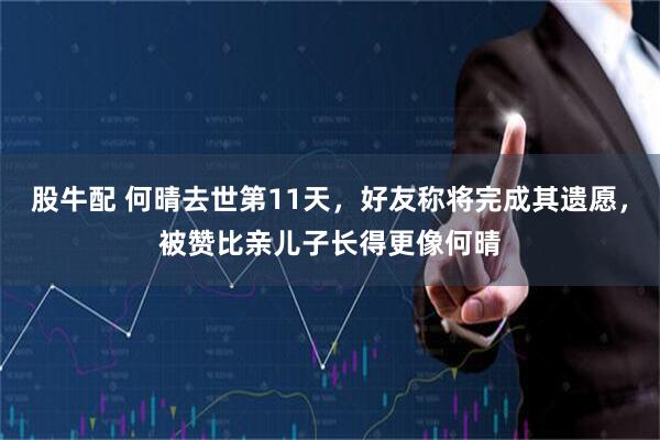 股牛配 何晴去世第11天，好友称将完成其遗愿，被赞比亲儿子长得更像何晴