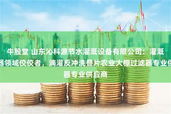 牛股堂 山东沁科源节水灌溉设备有限公司：灌溉过滤器领域佼佼者，滴灌反冲洗叠片农业大棚过滤器专业供应商