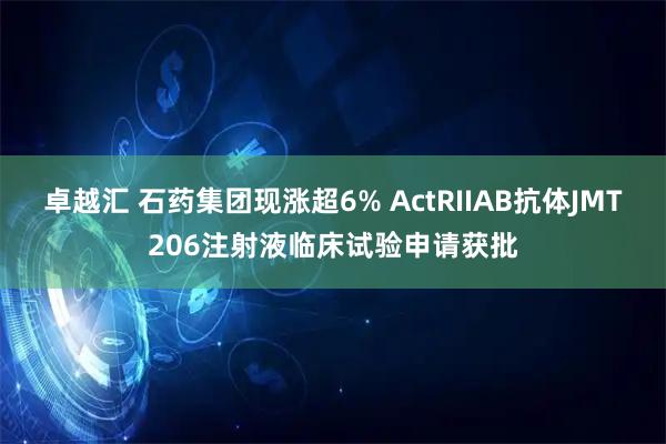 卓越汇 石药集团现涨超6% ActRIIAB抗体JMT206注射液临床试验申请获批