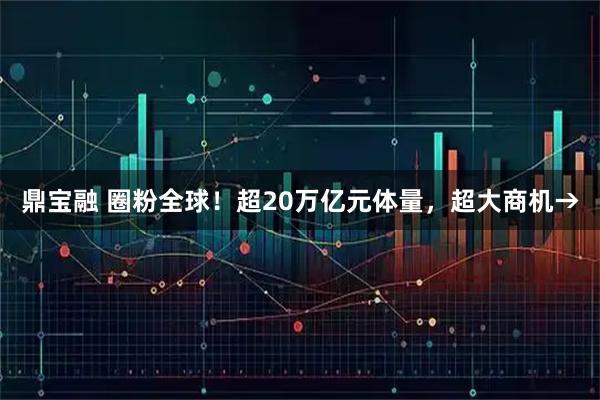 鼎宝融 圈粉全球！超20万亿元体量，超大商机→