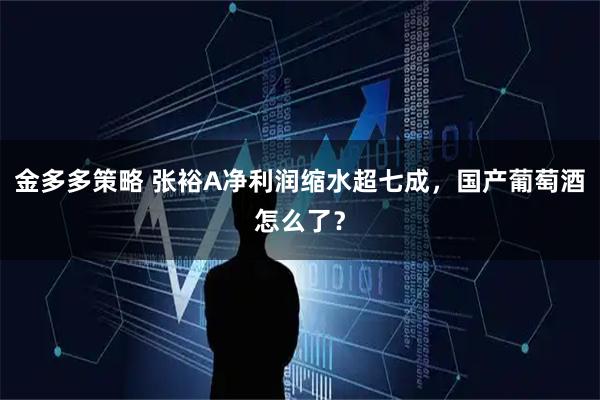 金多多策略 张裕A净利润缩水超七成，国产葡萄酒怎么了？